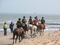 /international/2006Walvisbay/images/Final/thumbnails/final 007.jpg